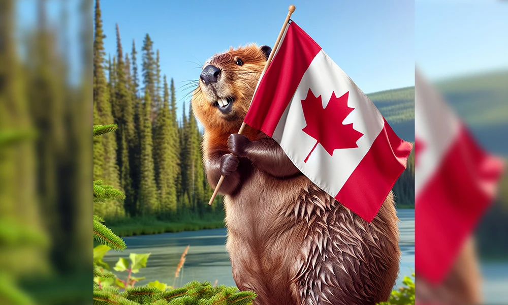Meet Buddy the Beaver: The Heart Behind FruitLand