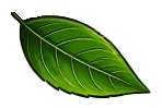 Image Five